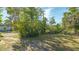 Sunny front yard with mature trees and shrubs at 2525 Ashton Rd, Sarasota, FL 34231