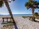 Beach access with benches nestled between palm trees at 671 Emerald Harbor Dr, Longboat Key, FL 34228
