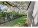 Backyard with lush greenery and a large tree at 730 40Th St, Sarasota, FL 34234