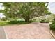 Brick driveway entrance with large shade tree at 8701 Midnight Pass Rd # 106A, Sarasota, FL 34242