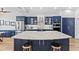 Modern kitchen with navy blue cabinetry, quartz countertops, and stainless steel appliances at 12147 Maple Ridge Dr, Parrish, FL 34219