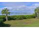 Scenic waterfront view with palm trees and calm water at 1010 Tidewater Shores Loop # 103, Bradenton, FL 34208