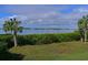 Scenic waterfront view with palm trees and calm water at 1010 Tidewater Shores Loop # 103, Bradenton, FL 34208
