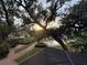Backyard oasis featuring a pool, pergola, and lush landscaping at 1827 Baywood Dr, Sarasota, FL 34231
