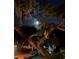 Tranquil backyard view of pool at night with moonlit sky at 1827 Baywood Dr, Sarasota, FL 34231