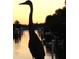 Majestic bird silhouetted against a vibrant sunset at 1827 Baywood Dr, Sarasota, FL 34231