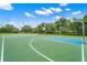Outdoor basketball court with two hoops, green surface, and surrounding trees at 2343 Prospect St, Sarasota, FL 34239
