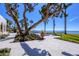 Beautiful backyard with a large patio, mature tree, pool, and stunning waterfront views at 4311 Bay Shore Rd, Sarasota, FL 34234