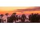 Beautiful sunset view over ocean with palm trees in foreground at 565 Sanctuary Dr # A203, Longboat Key, FL 34228