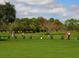 Scenic driving range with ample space for practice at 7323 Oak Moss Dr # 42, Sarasota, FL 34241