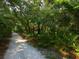 A picturesque nature trail winds through a dense canopy of lush greenery at 7323 Oak Moss Dr # 42, Sarasota, FL 34241