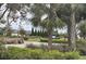 Landscaped area with grassy lawn and palm trees at 11608 Little River Way, Parrish, FL 34219