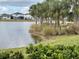 Serene pond with lush landscaping and palm trees at 11608 Little River Way, Parrish, FL 34219