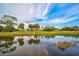 Peaceful pond reflecting palm trees and a tranquil golf course at 2123 Calusa Lakes Blvd, Nokomis, FL 34275