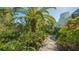 Stone path meanders through a tropical garden at 269 Pine Ranch Trl, Osprey, FL 34229
