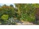 Wooden steps lead through a tropical garden at 269 Pine Ranch Trl, Osprey, FL 34229