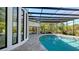 Luxury screened pool with a large patio and plenty of space to relax at 269 Pine Ranch Trl, Osprey, FL 34229