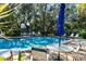 Relaxing community pool area with lounge chairs and umbrellas at 3404 Falcon Pl, Bradenton, FL 34210