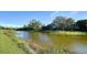 Serene pond view with natural landscaping at 5846 Cavano Dr, Sarasota, FL 34231