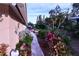 Landscaped walkway with tropical plants and garden art at 2426 Nassau St, Sarasota, FL 34231