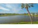 Peaceful lake view with lush green landscape and palm trees at 5218 Wedgewood Ln # 72, Sarasota, FL 34235