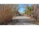 Long driveway leading to home through tropical landscape at 8440 Midnight Pass Rd, Sarasota, FL 34242