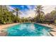 Inviting pool with lounge chairs and palm trees at 4142 Central Sarasota Pkwy # 1428, Sarasota, FL 34238