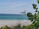 Scenic beach view with ocean and vegetation at 4417 Mount Vernon Dr, Bradenton, FL 34210