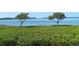 Scenic waterfront view with lush vegetation at 4417 Mount Vernon Dr, Bradenton, FL 34210