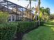 Landscaped backyard with lush greenery and privacy hedge at 7131 Sandhills Pl, Lakewood Ranch, FL 34202