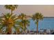 Scenic waterfront view with bridge and palm trees at 988 Blvd Of The Arts # 311, Sarasota, FL 34236