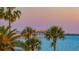 Stunning sunset over the bay with palm trees at 988 Blvd Of The Arts # 311, Sarasota, FL 34236