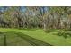 Large grassy backyard with mature trees and Spanish moss at 15125 Waterline Rd, Bradenton, FL 34212