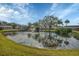 Community pond with fountain and lush landscaping at 2709 60Th Avenue N Plz # D, Bradenton, FL 34207