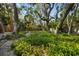 Mature, lush, tropical backyard with large trees at 5112 Jungle Plum Rd, Sarasota, FL 34242