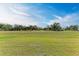 Large grassy backyard with lush green space at 75 Mark Twain Ln, Rotonda West, FL 33947