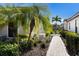 Landscaped walkway with solar lighting and lush tropical plants at 8199 Varenna Dr, Sarasota, FL 34231