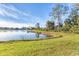 Tranquil lake view with lush green grass at 10611 Ladybug Cv, Parrish, FL 34219