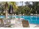 Resort-style pool with plenty of lounge chairs and umbrellas at 10611 Ladybug Cv, Parrish, FL 34219