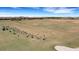 Expansive driving range with many golfers at 17607 Gawthrop Dr # 103, Bradenton, FL 34211