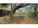 Landscaped backyard with mature trees and gravel pathway at 4892 Peregrine E Pt, Sarasota, FL 34231