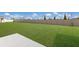 Large fenced backyard with green grass at 5846 Silver Moonlight Dr, Palmetto, FL 34221