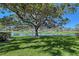 Landscaped backyard with large oak tree and pond view at 7130 Fairway Bend Ln # 193, Sarasota, FL 34243