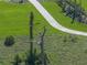 Aerial view of a dead tree and a walking path at 9511 Tequila Sunrise Dr, Sarasota, FL 34241
