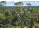 Aerial view of a bird on a tree in a lush landscape at 9511 Tequila Sunrise Dr, Sarasota, FL 34241