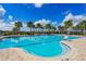 Community lap pool with a relaxing atmosphere at 14350 Easy Goer St, Ruskin, FL 33573