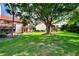 Community backyard with large tree and grassy area at 1626 Stickney Point Rd # 26-102, Sarasota, FL 34231
