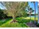 Large backyard with a mature tree and lush lawn at 1626 Stickney Point Rd # 26-102, Sarasota, FL 34231