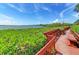 Scenic boardwalk path offering waterfront views at 1626 Stickney Point Rd # 26-102, Sarasota, FL 34231