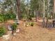 Landscaped backyard with various plants and decorations at 22343 Panther Loop, Bradenton, FL 34202
